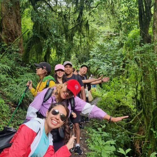 camino de Yungas salteñas