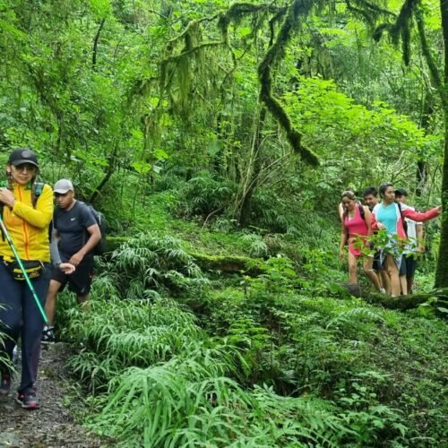 Turistas haciendo trekking en San Lorenzo