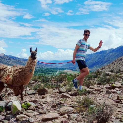 Caravana de llamas por la Quebrada de Humahuaca, excursión en Tilcara