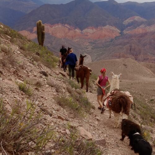 caminata entre montañas con llamas y paisajes que emocionan