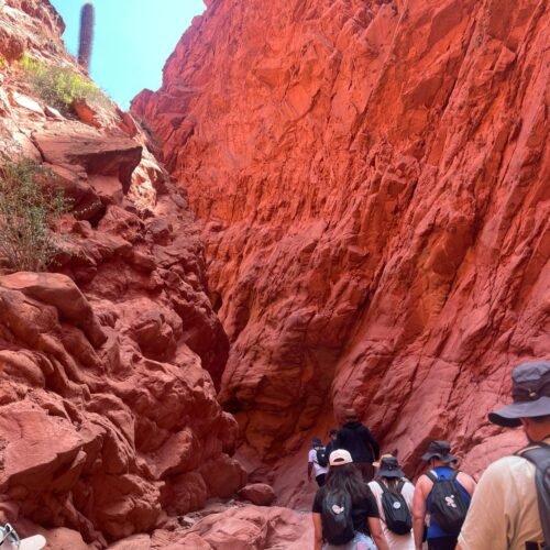 Camino en la Quebrada de las Señoritas