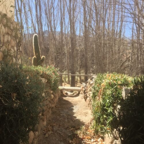 excursión a Cachi desde Salta