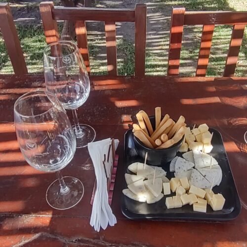 Degustación de que sos y vinos de altura en una bodega de Cafayate.